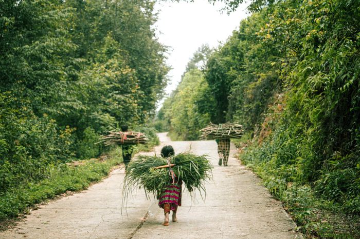 Khám phá Làng cổ Thiên Hương trăm năm tuổi trên cao nguyên đá Đồng Văn 14