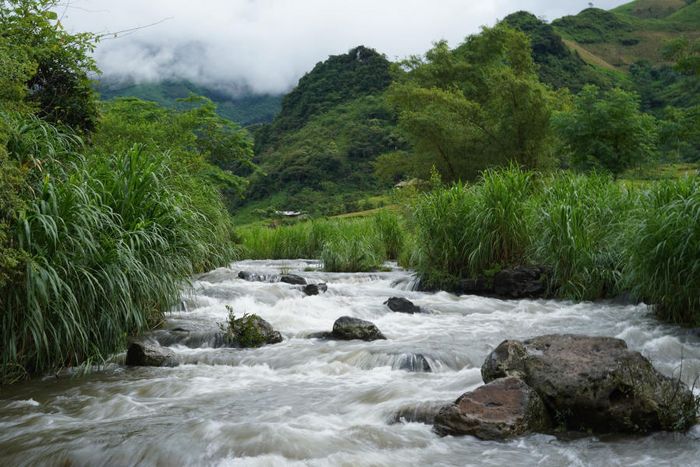 Thả mình vào vẻ thanh bình của Bản Du Già trong mùa đẹp nhất 8