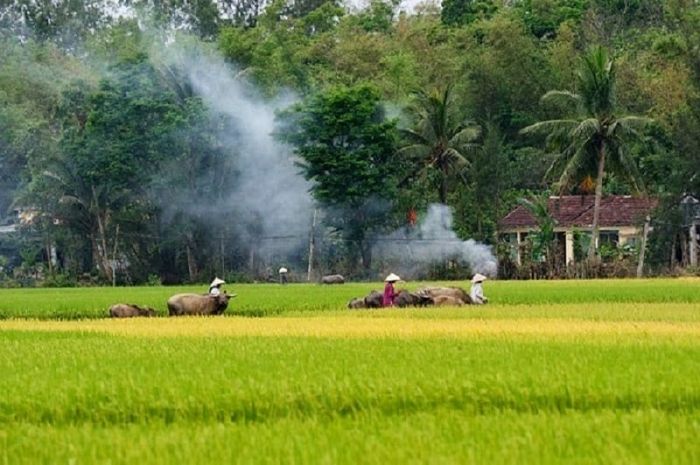 làng cổ Phong Nam