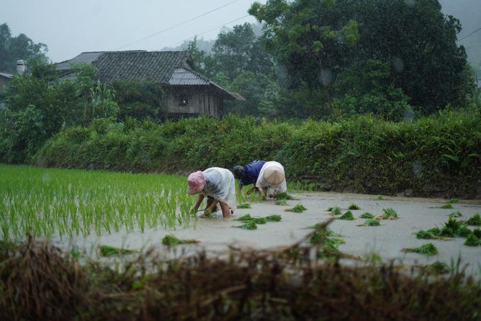 Thả mình vào vẻ thanh bình của Bản Du Già trong mùa đẹp nhất 9