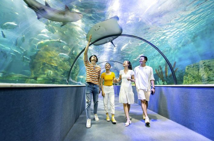 Khu mua sắm Times City