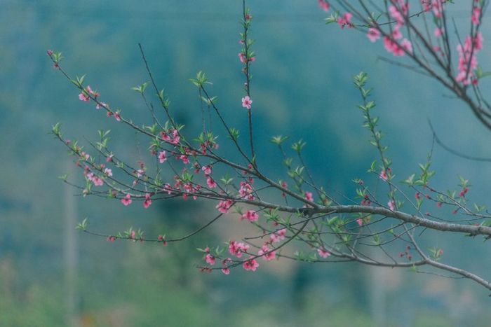 Đánh giá Hà Giang, khám phá cuộc sống hàng ngày tại cao nguyên đá yên bình 11