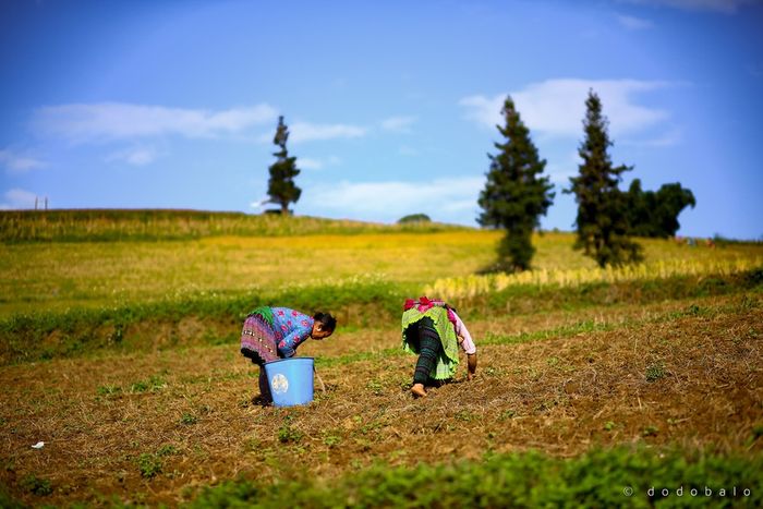 Khám phá Thiên đường Suôi Thầu, một điểm đến tuyệt vời tại Hà Giang