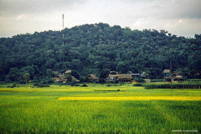 Bình yên của làng quê Hà Giang vào mỗi chiều trên cao nguyên đá