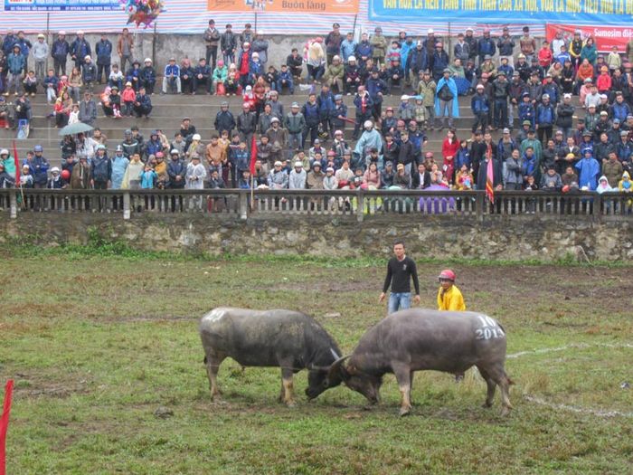 Du lịch Hà Giang Tết Nguyên Đán 2024 cho những đội mê xe máy khám phá