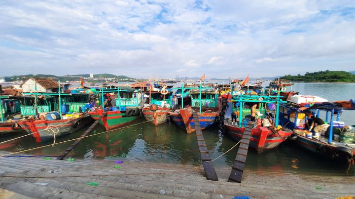Chợ hải sản Hòn Gai - Trung tâm mua sắm nổi tiếng của thành phố Hạ Long 2