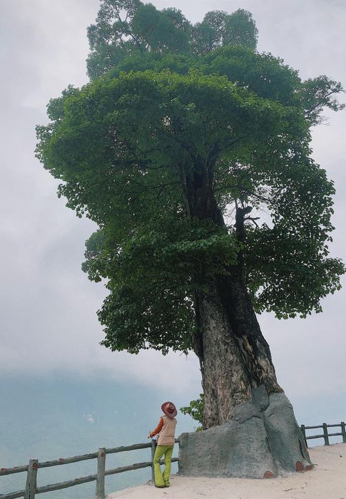 Trải nghiệm một ngày lang thang Hà Giang với nhiều điểm đến tuyệt vời 9