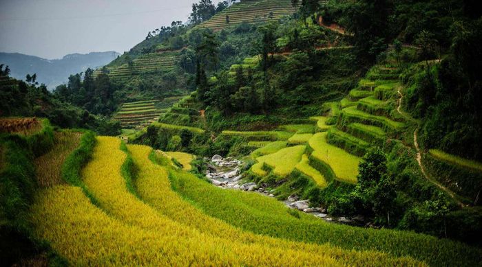 Chinh phục cao nguyên đá Đồng Văn trong 3 ngày 2 đêm tự túc