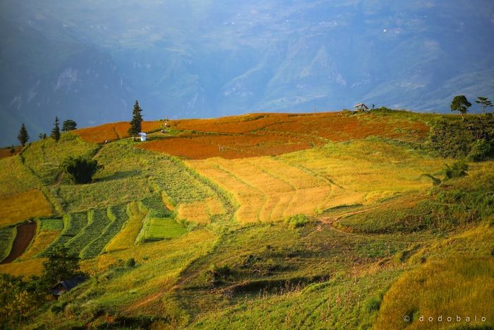 Khám phá Thảo nguyên Suôi Thầu, thiên đường đầy ấn tượng tại Hà Giang