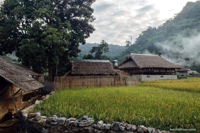 Sự yên bình của làng quê Hà Giang vào mỗi buổi chiều trên cao nguyên đá