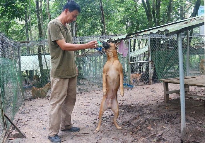 khu du lich phu quoc