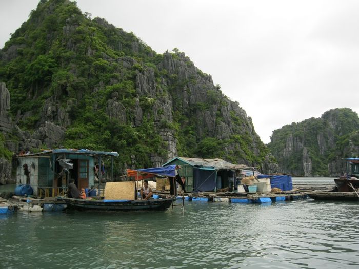 Đặt chân đến làng chài Ba Hang - Nhỏ bé, yên bình và lãng mạn