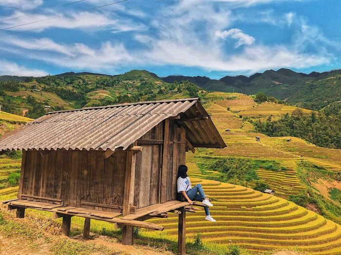 Kinh nghiệm du lịch tự túc tại Hà Giang tháng 9 - Mùa lúa chín rực rỡ trên đồi cao (Phần 3)