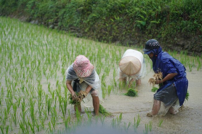 Thả mình vào vẻ thanh bình của Bản Du Già trong mùa đẹp nhất 10