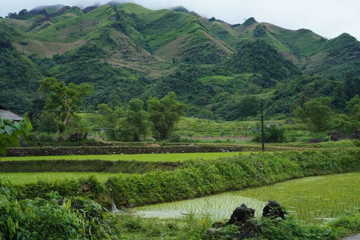 Ngắm nhìn vẻ thanh bình của Bản Du Già vào mùa đẹp nhất 4