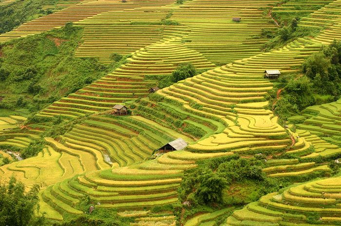 Đánh giá Hà Giang - Theo dấu chân của cặp đôi phiêu lưu ở cao nguyên đá 7