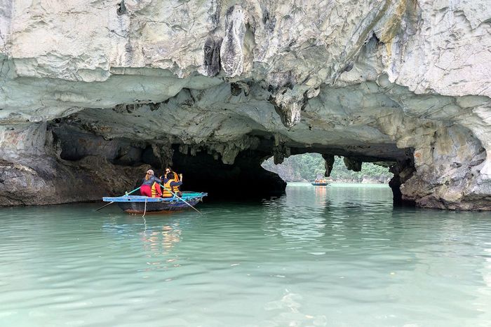 Khám phá Hang Luồn bằng cách chèo thuyền kayak, quan sát khỉ vàng và tham gia các hoạt động thú vị khác là một trải nghiệm tuyệt vời