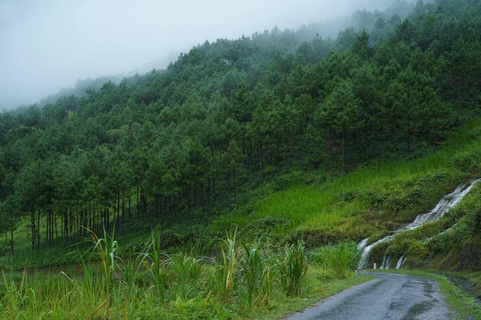 Thả mình vào vẻ thanh bình của Bản Du Già trong mùa đẹp nhất 7