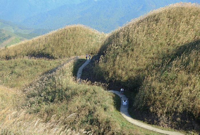 Đánh giá mùa hoa Hà Giang với vẻ đẹp của những loài hoa quyến rũ 4