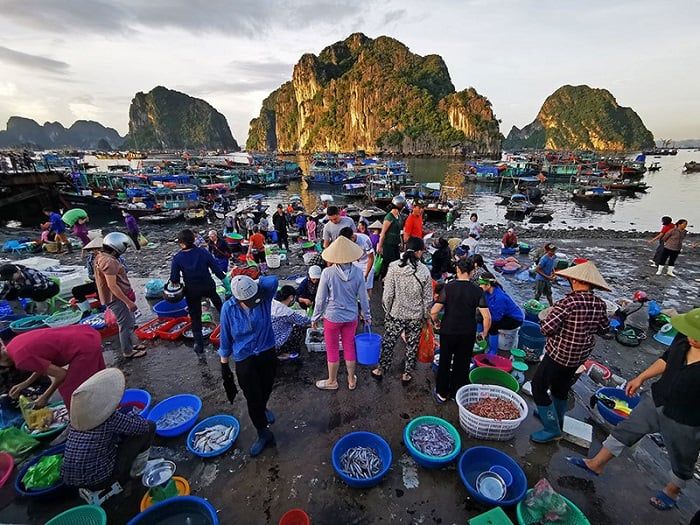 du lịch Quảng Ninh vào mùa đông