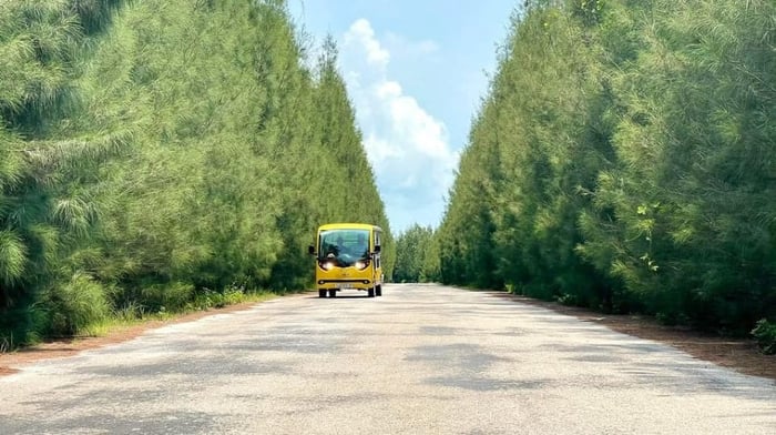 Khám phá Đảo Minh Châu, tận hưởng sắc thu lãng mạn của vùng biển Vân Đồn, thả mình vào không gian yên bình của mùa thu