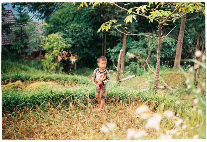 Đánh giá một Hà Giang thật yên bình và đẹp mắt.