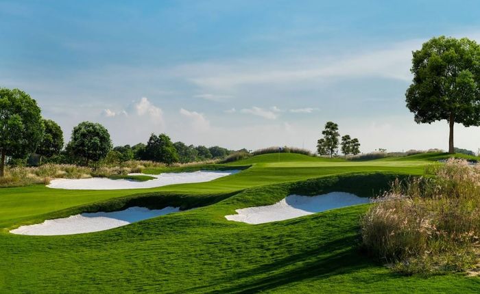 Tổng hợp các thuật ngữ trong golf