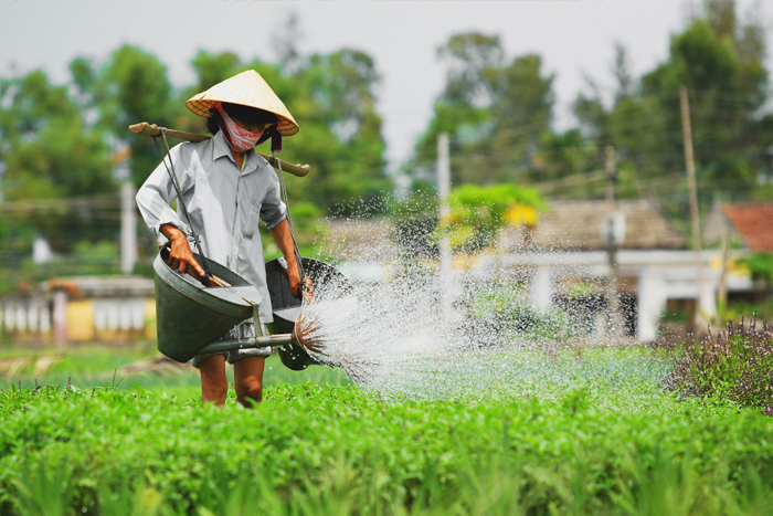 du lịch Hội An tháng Mười Hai