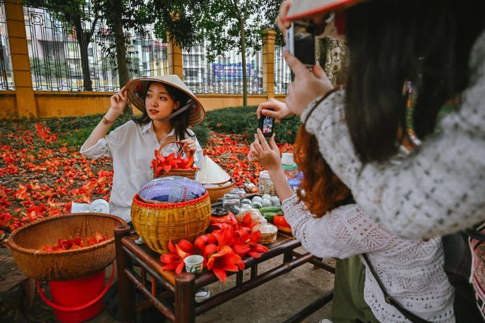 Thưởng ngoạn vẻ đẹp lâu đời của cây hoa gạo cổ thụ ở Hà Nội 8