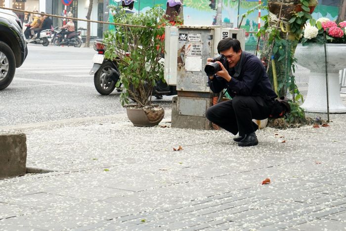 Không gì bằng cảm giác đắm mình giữa mùa hoa sưa Hà Nội 8