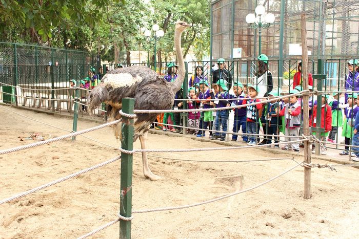 Hãy đến Công viên Thủ Lệ vào cuối tuần để tìm lại những kỷ niệm tuổi thơ.