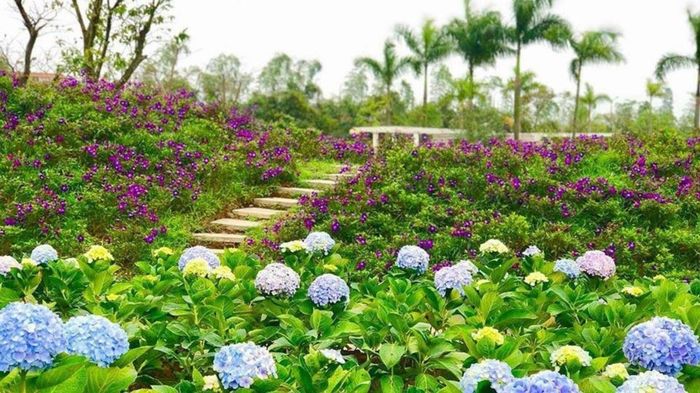 Rose Park - Làn gió mới trong thế giới hoa hồng Hà Nội