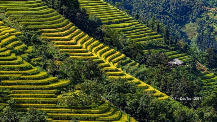 Nhà hàng Chim Sáo - Ẩm thực đặc sản từ ba miền Việt Nam với vị ngon khó cưỡng