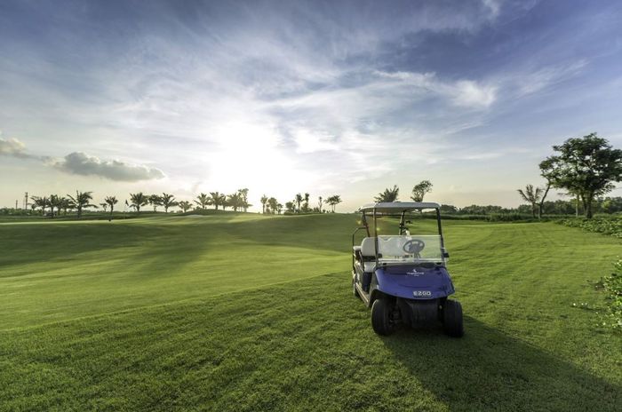 Dáng đứng đánh golf chuẩn