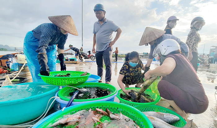 Khám phá khu vui chơi Hạ Long