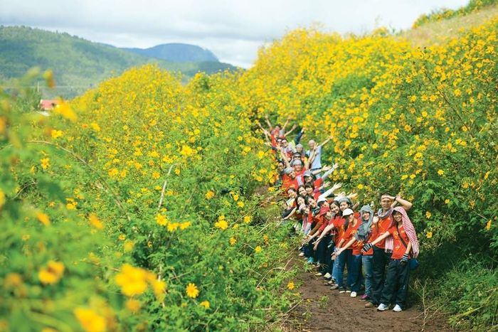 Mẹo bay khinh khí cầu ngắm hoa dã quỳ ở Ba Vì số 2