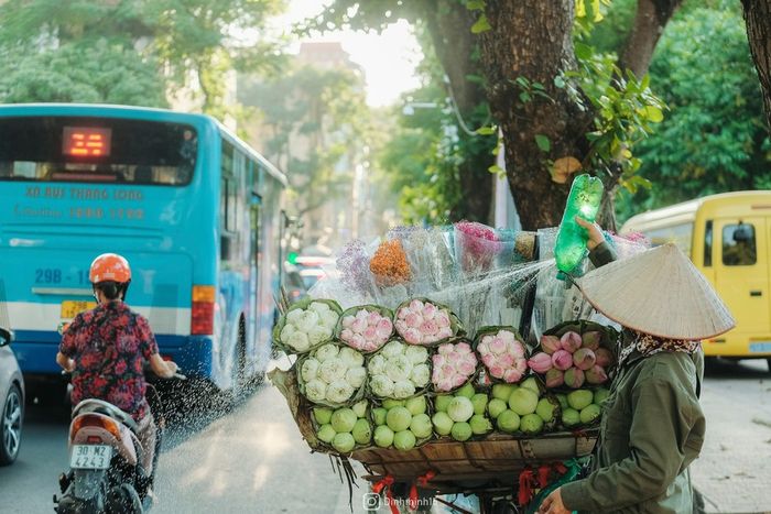 Sắc xuân của Hà Nội hiện lên trên từng góc phố trong mùa giao mùa