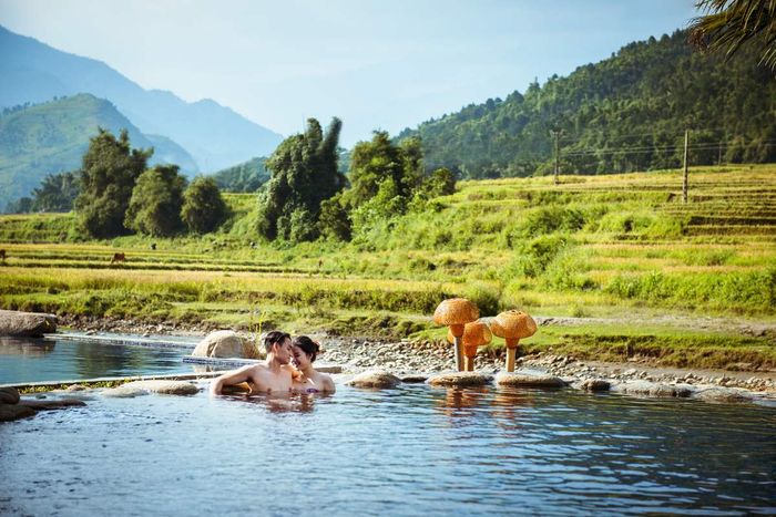 Ghé thăm Làng hoa Hạ Lũng để ngắm nhìn vô số loài hoa đẹp tuyệt vời.