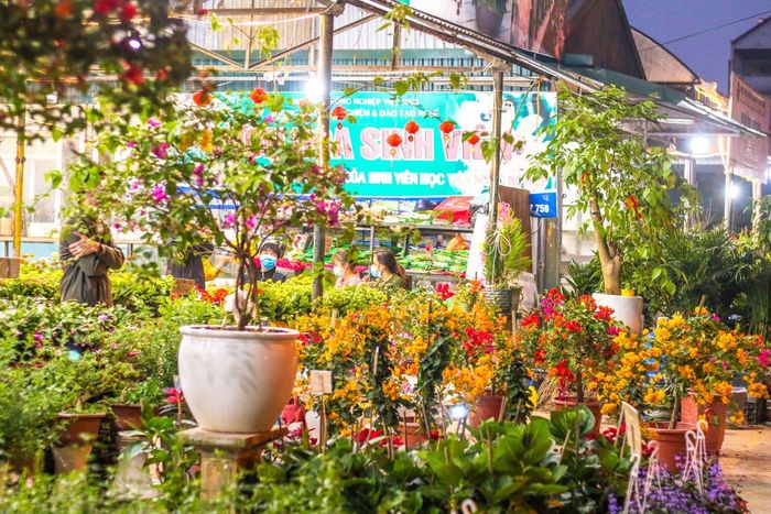 Khám phá vẻ đẹp đầy ấn tượng của Hà Nội tại Học viện Nông nghiệp Việt Nam 15