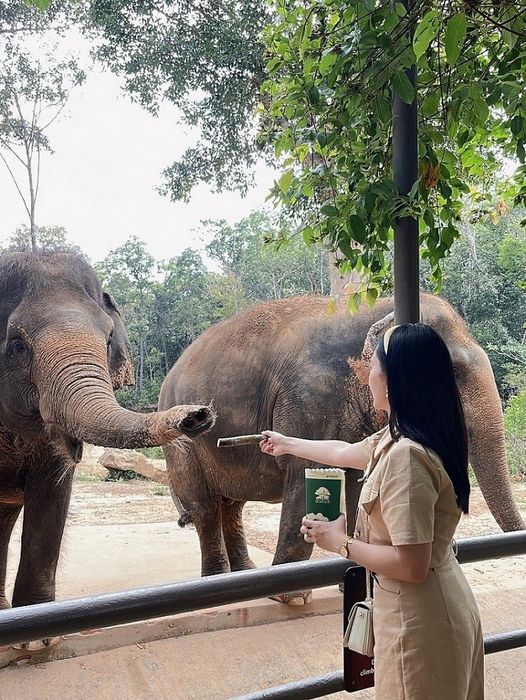 Khám phá mùa hè tại Vinpearl