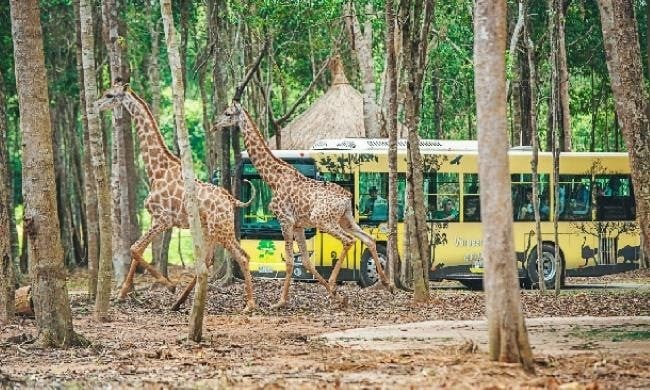 Vinpearl Safari Phú Quốc - Khu bảo tồn động vật bán hoang dã đầu tiên tại Việt Nam. Nguồn: vnexpress.net