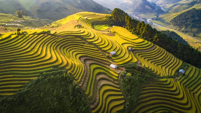 Ghé thăm Làng hoa Hạ Lũng để thưởng ngoạn vô vàn loài hoa đẹp tuyệt vời.