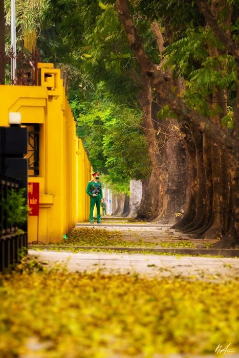 Phố Phan Đình Phùng, điểm thư giãn lãng mạn nhất ở Hà Nội