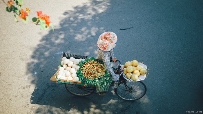 Mùa thu ở Hà Nội đem lại cảm giác yên bình qua những cửa sổ