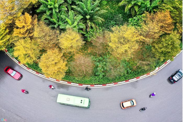 Đánh giá về Hà Nội, một chút ngẩn ngơ khi mùa lá đổi màu về