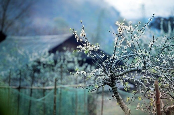 Cổng trời Mường Lống