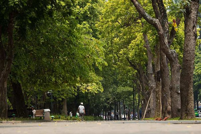 Trải nghiệm mùa thu Hà Nội với các hoạt động đơn giản, bình dị 2