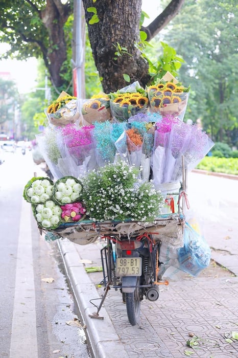 Mùa thu ở Hà Nội, vẻ đẹp lãng đãng tựa như lời hát ru