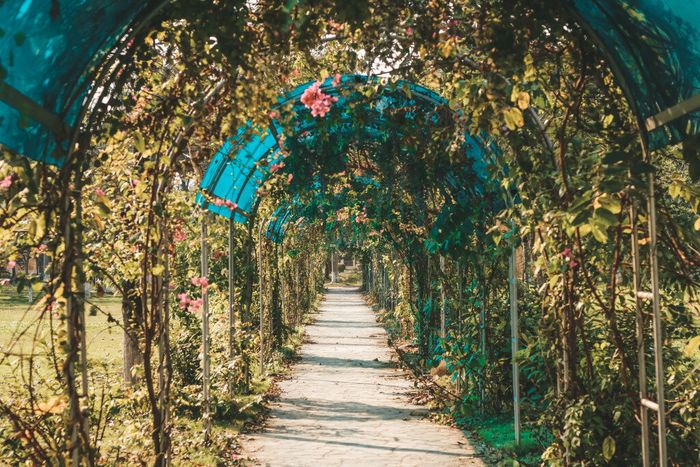 Khám phá vẻ đẹp đầy ấn tượng của Hà Nội tại Học viện Nông nghiệp Việt Nam 7