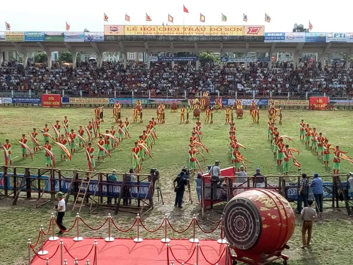 Khám phá Lễ hội chọi trâu Hải Phòng - Một lễ hội truyền thống lâu đời